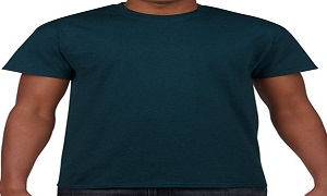 Three Set Discounted Gildan Round Neck T-Shirt